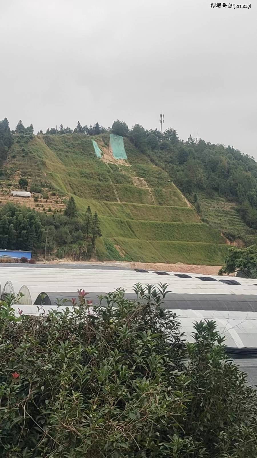 风电边坡矿山修复山体绿化客土喷草