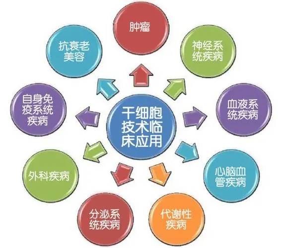 干细胞回输海报图片