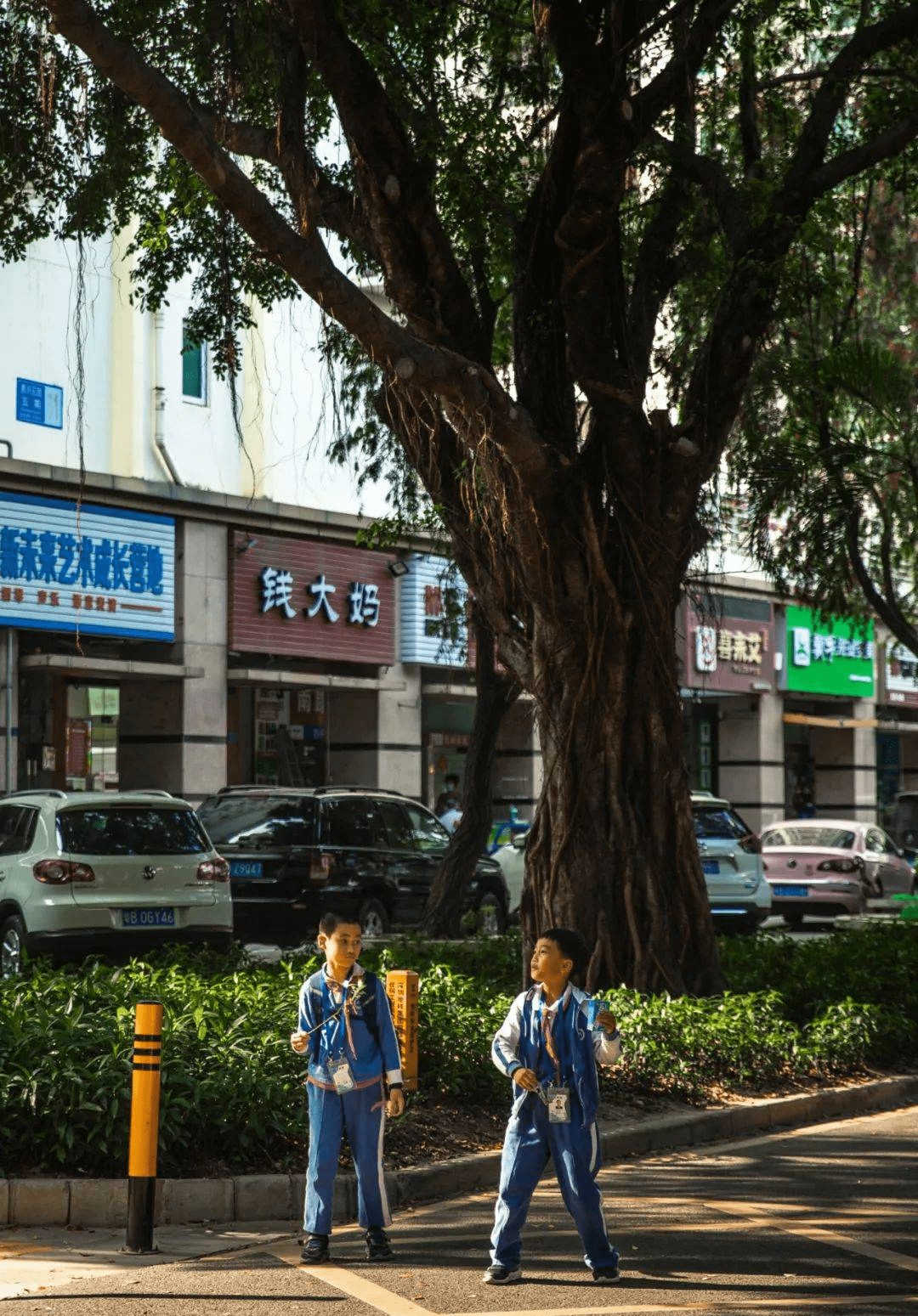 出則繁華入則寧靜的半山豪宅——東方鳳雅名苑_深圳_羅湖_智能