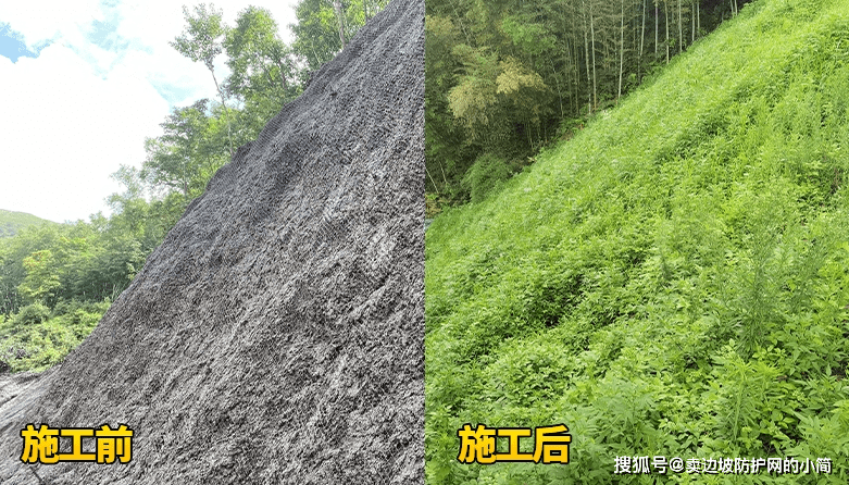 客土噴播的原理和適用範圍_土壤_植被_植物