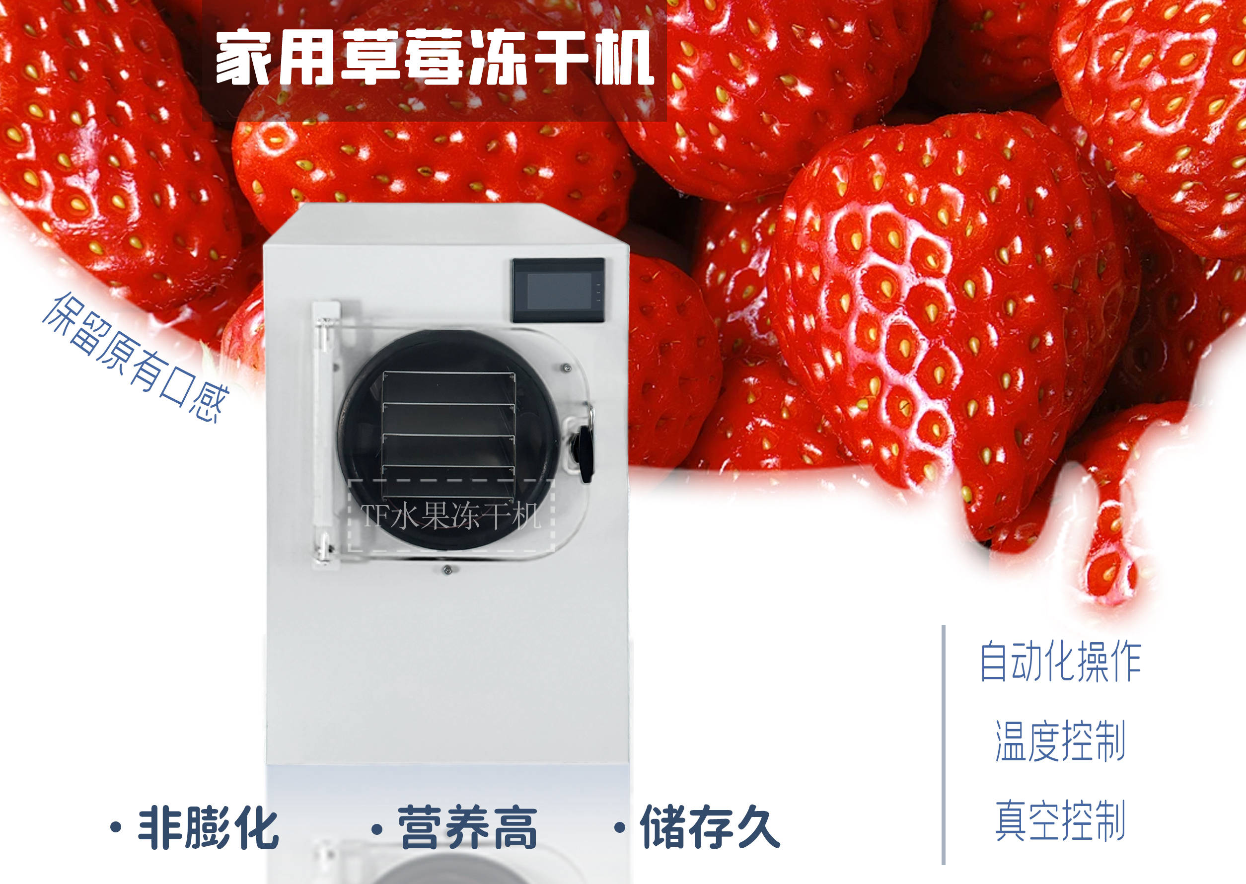 蓝莓冷冻干燥机,草莓冻干机, 上海拓纷水果冻干机自动化生产线_技术