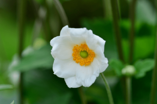 5月17日开始 运势良好 会鸿运当头 福寿两全的三大星座 朋友 爱情 离开