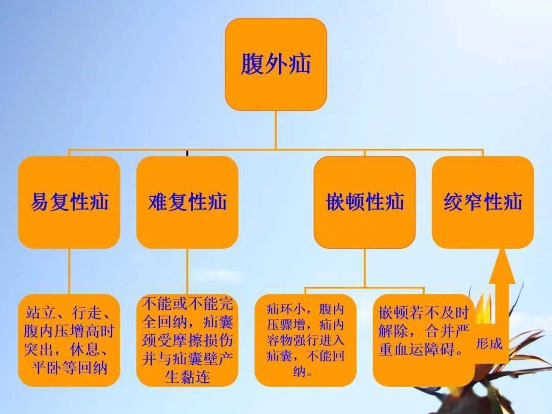 【ppt】老年患者常见疾病——疝气的护理