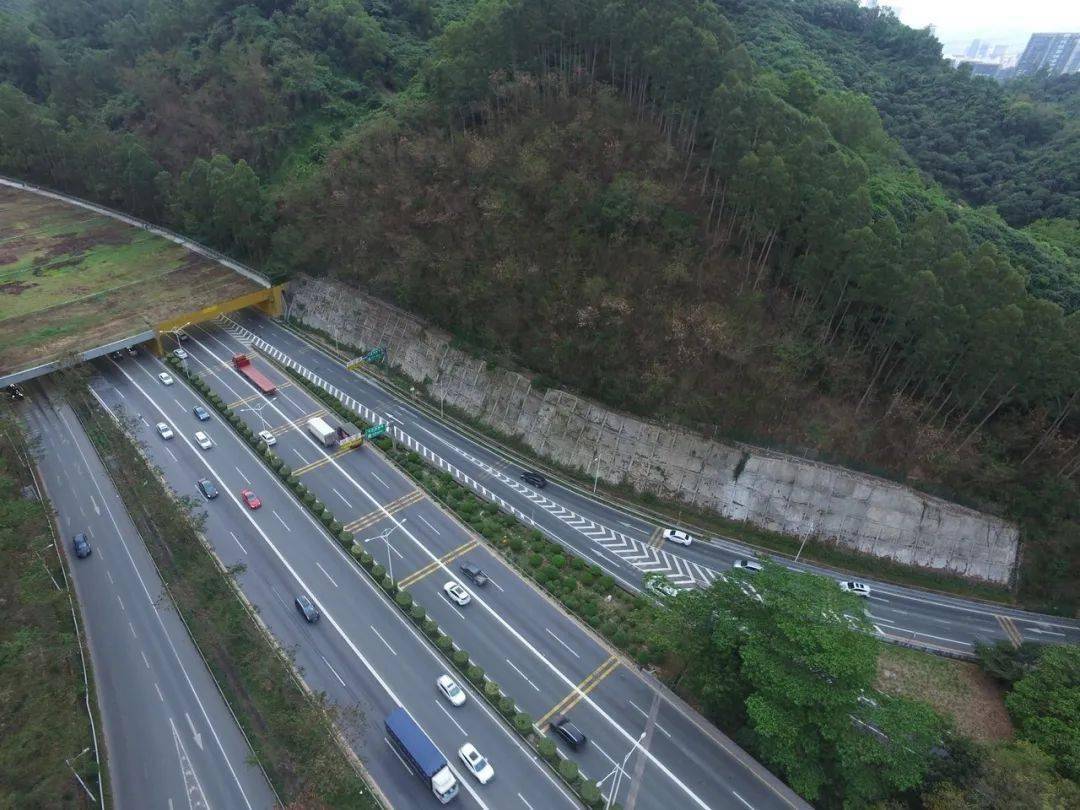 梅观南坪立交两条匝道交通改善真相来啦_车道