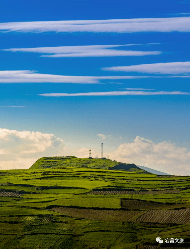 陇南风光 | 又一个盛夏,去宕昌大草原看美景享清凉!