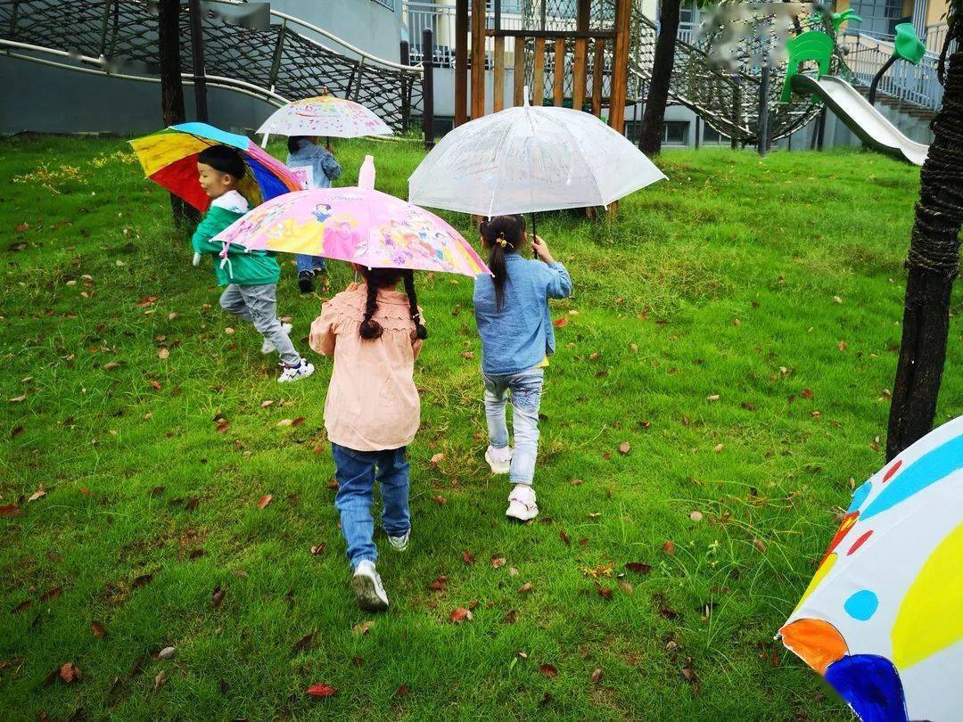 小朋友们,你在下雨天玩的时候发现雨落在哪儿了?