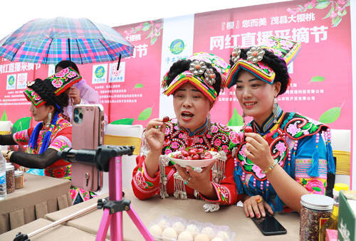 大樱桃2020新品种排名_20余个车厘子新品种等你来品尝!茂县2020首届“车厘