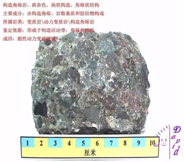 构造角砾岩橄榄辉长岩二长岩二辉橄榄岩纯橄榄岩斑状花岗岩白岗岩