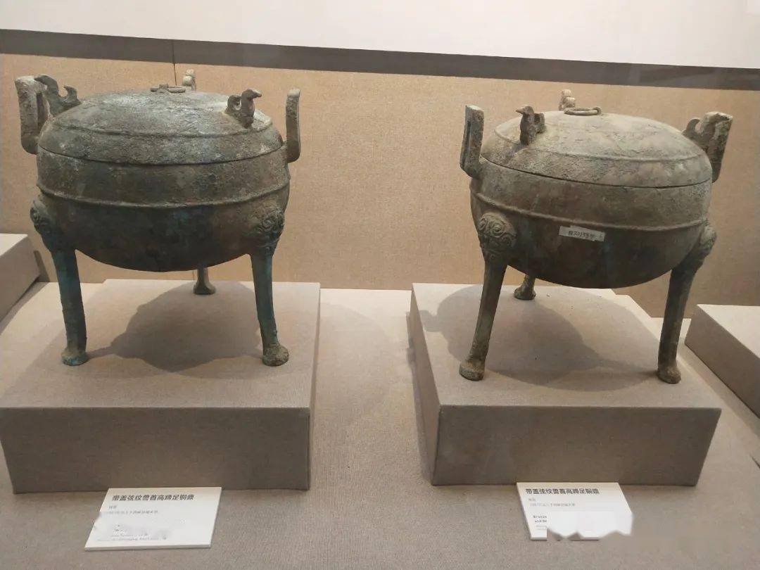 不出门带你参观西峡博物馆云游博物馆系列二