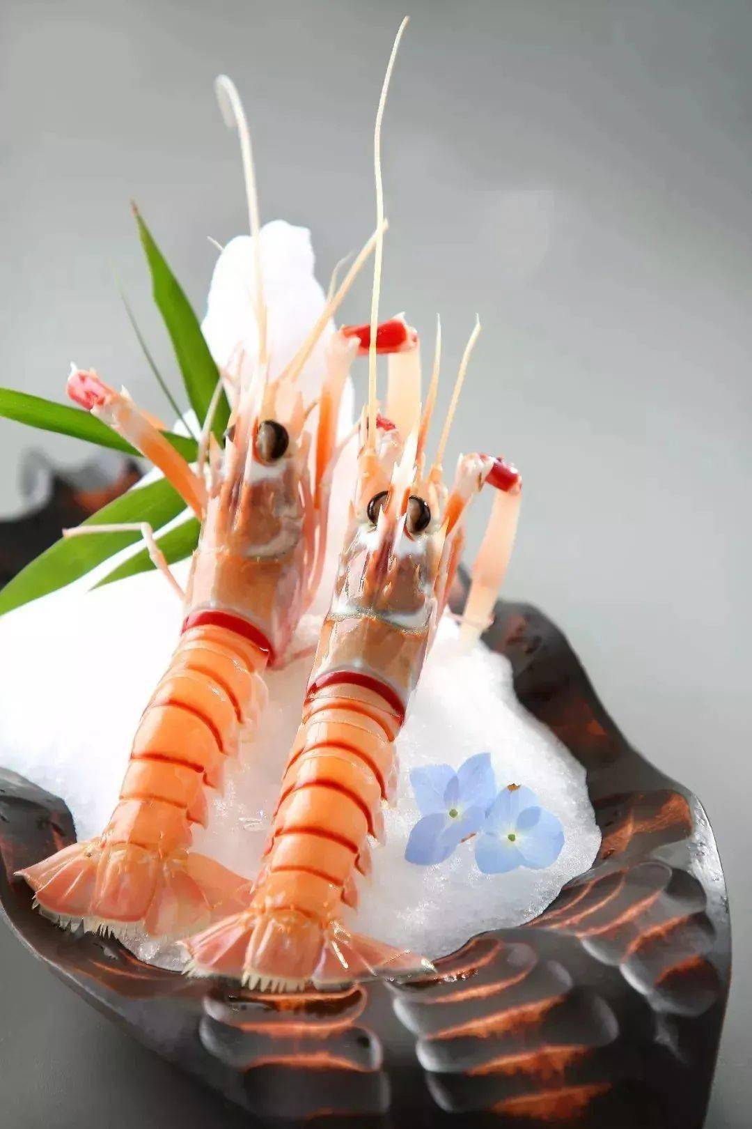鳌虾刺身摆盘图片