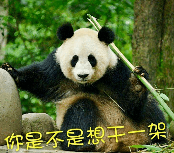 小伙4个月没回武汉,床头竟长出竹子!而且枝繁叶茂…网友:绿到家了