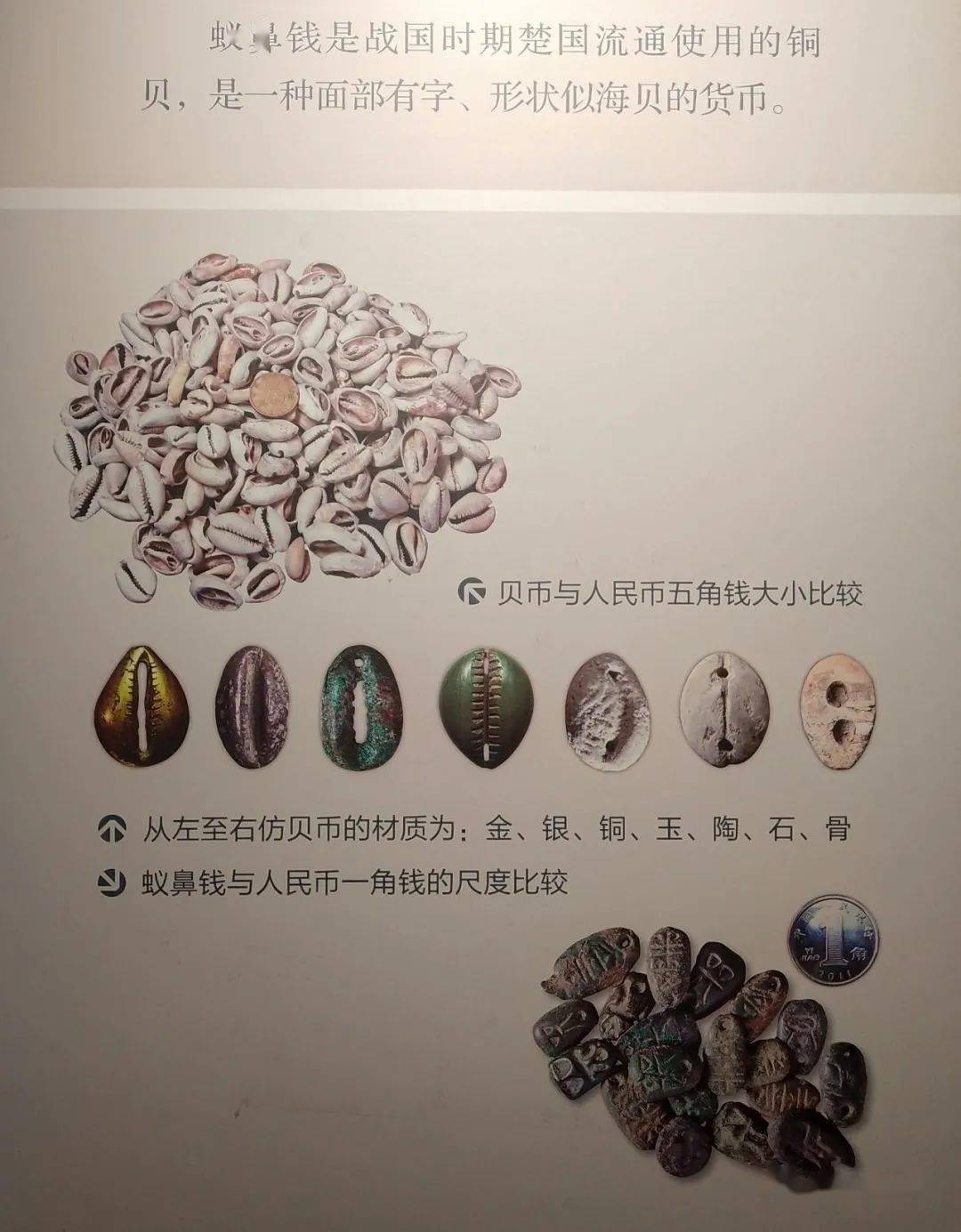 从原始的物物交换到贝币的出现,从贝币到人工金属货币的制造,从金属