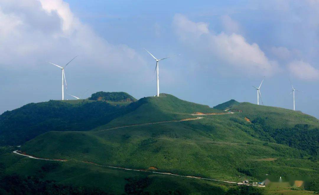 【一大波美图来袭】别了,螺丝壳"白色风车"!