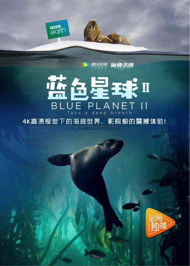 看懂这部bbc神级纪录片雅思稳过7