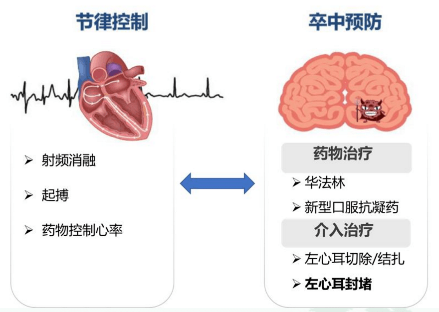 房颤的合理治疗方案07房颤病人发生卒中的风险需要由医生根据存在的