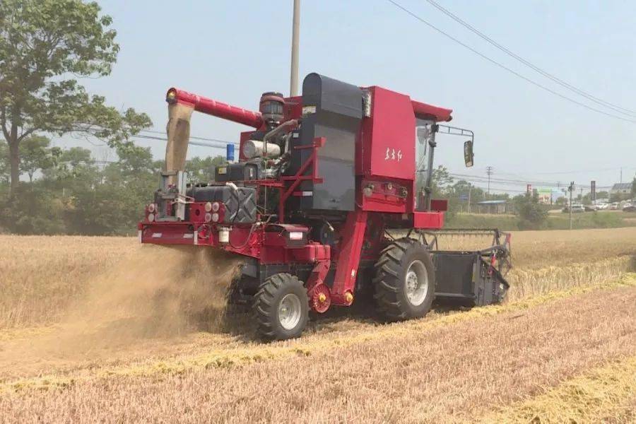 炊为民一行先后到朝阳镇高沟村瀍河谷综合治理项目,城