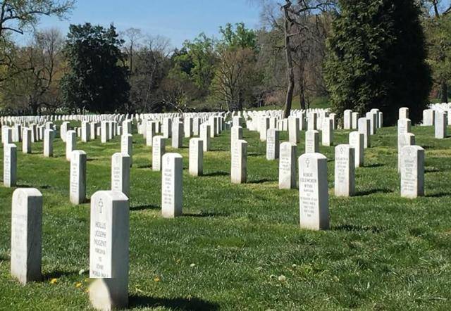 美国一处国家公墓,墓碑排列得整整齐齐,26万美国英雄长眠于此地