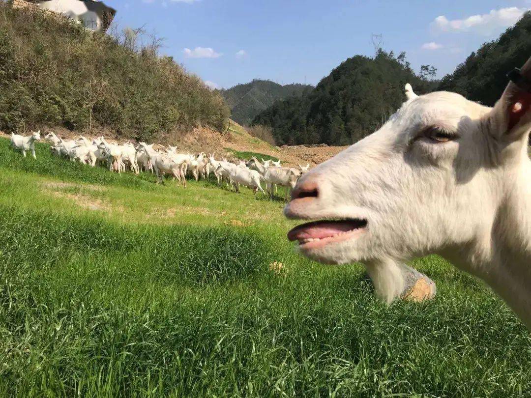 直播预告今天10点坐等旅游福袋雨吧还有浙里的昌化好货值得剁手