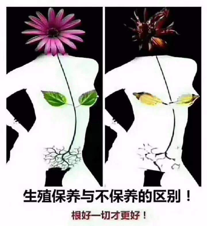 养好根!花若美丽,根需健康!