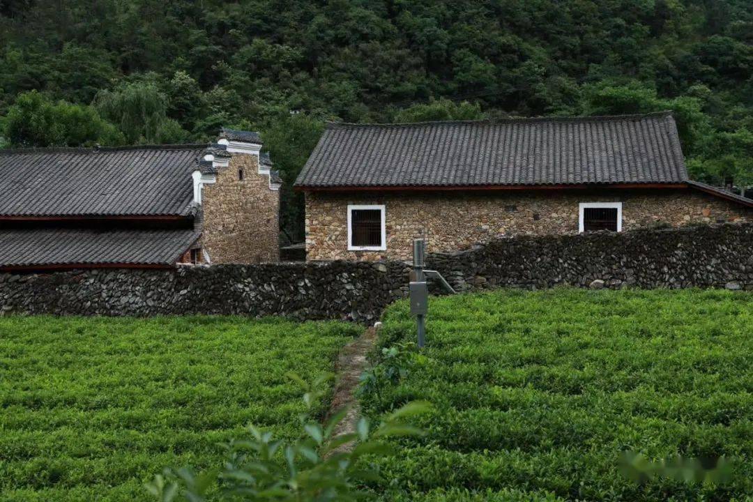 因大川至白石段镇公路近期施工封路,市民可从马家河赛武当路,顺着五条