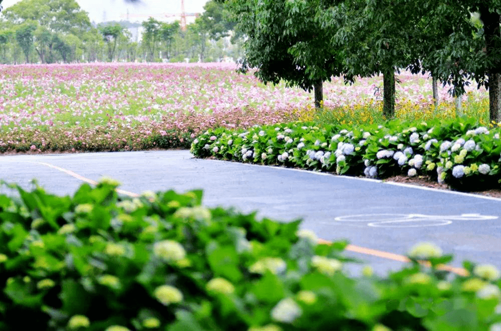 雅讯天台人你的18岁樾湖兰庭公园生活志首发