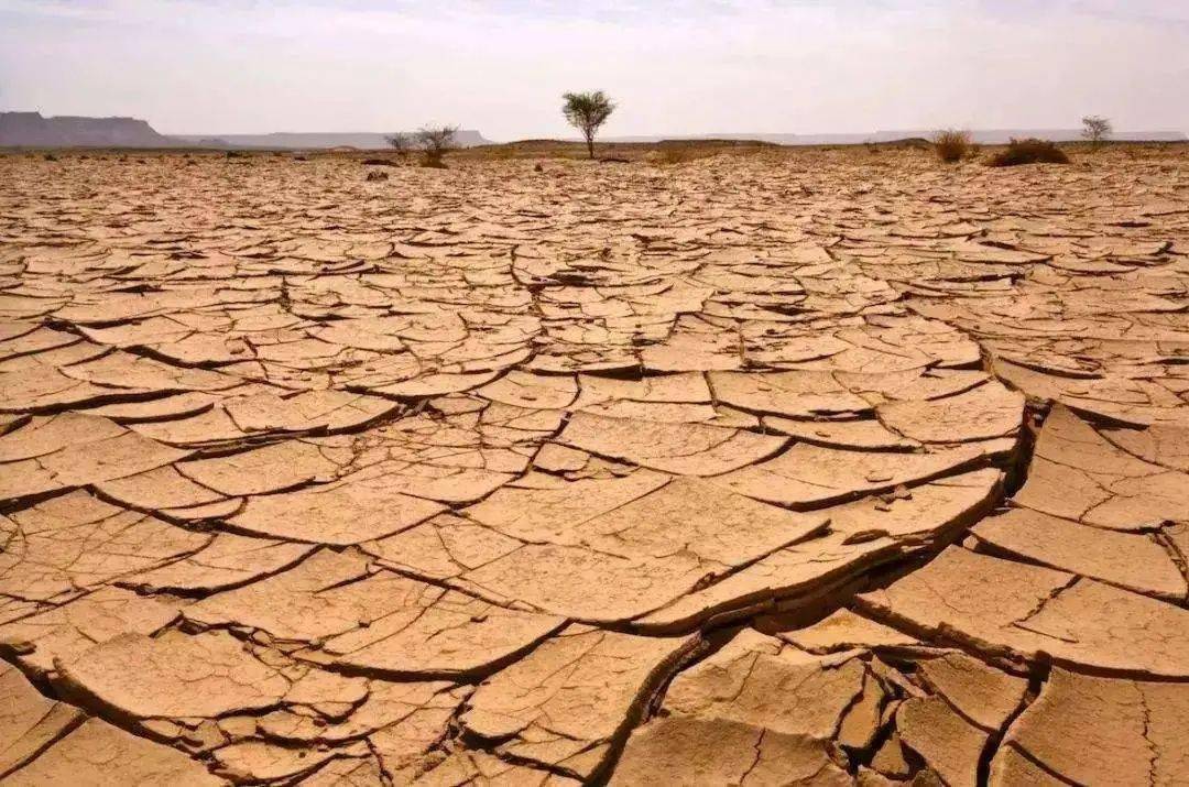 世界环境日丨关爱自然 刻不容缓_人类