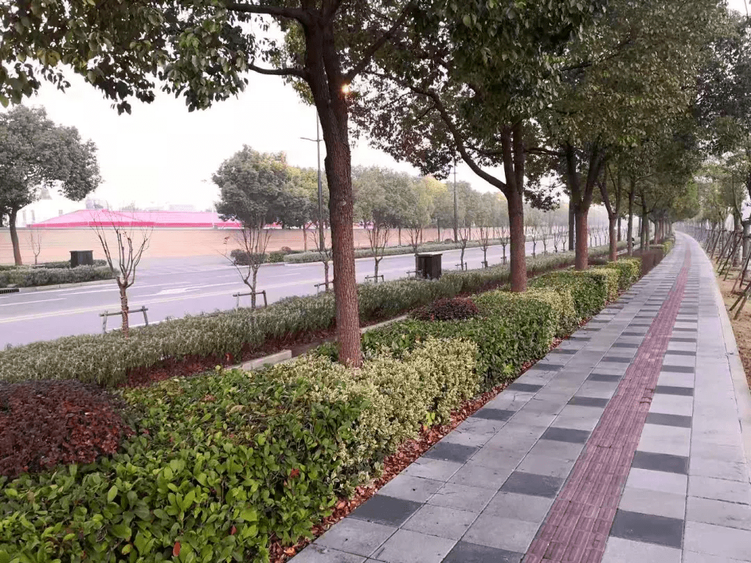 长宁这6条道路获评上海市精品示范路有你家门口的吗