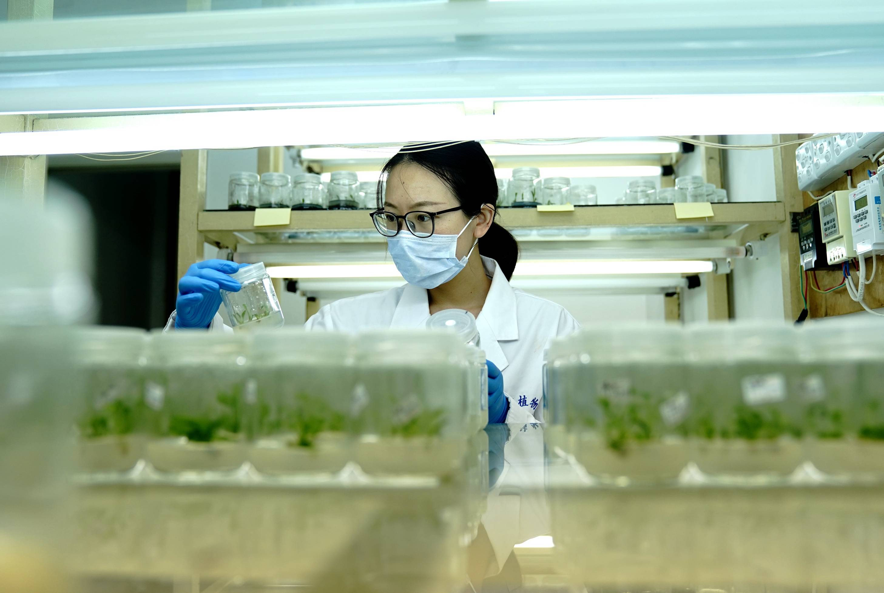 上海植物园自主培育花卉新品种