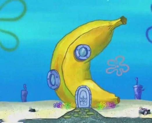 伙伴知不知道香蕉的特性,那就是易腐烂,你们想想,住进这样的房子里面