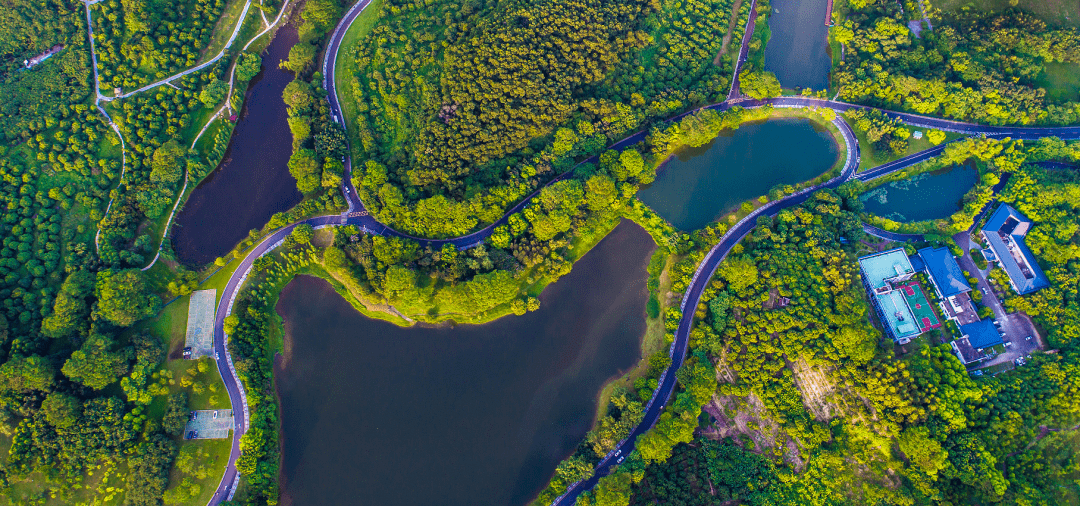 世界环境日丨"美丽南城 悦游自然"生态摄影征集活动开始啦!_作品
