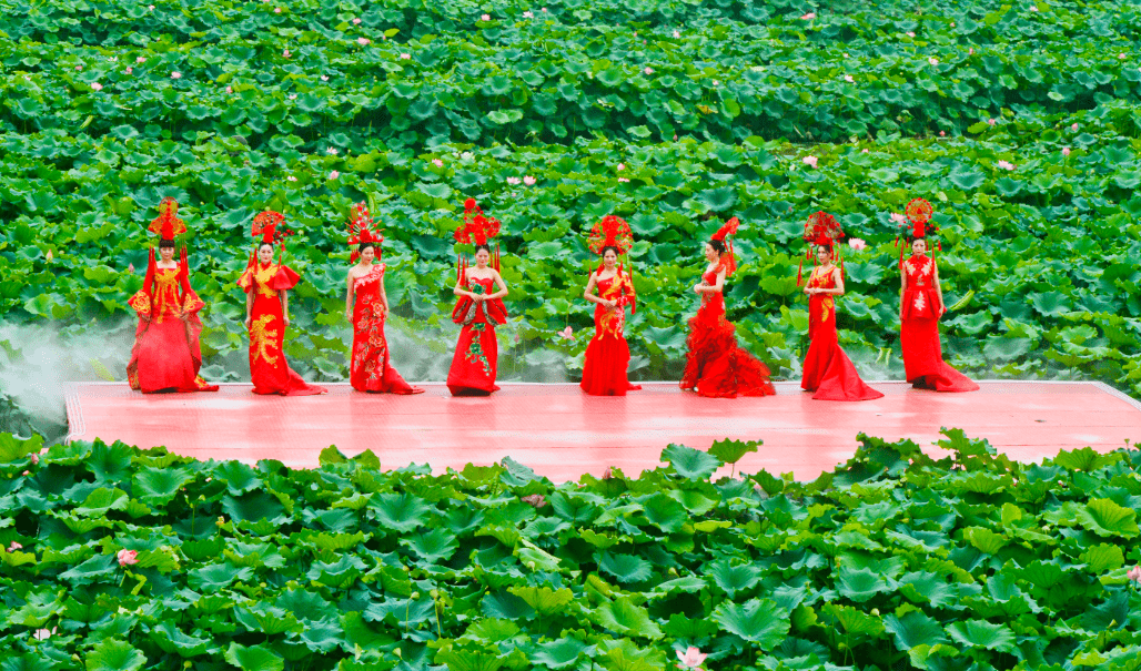 以"璀璨峰林,荷您相约"为主题的第四届荷花旅游文化节与往届相比