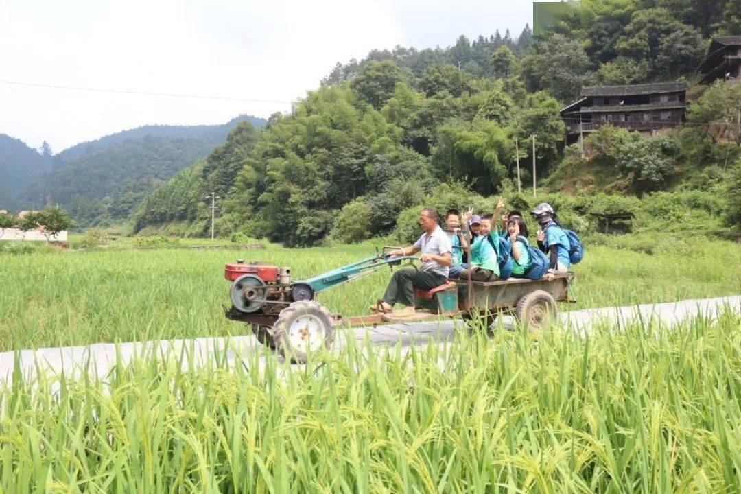 暑假招募 |《走進鄉村》第一季:侗寨,耕田種菜,劈柴燒飯,養雞餵豬