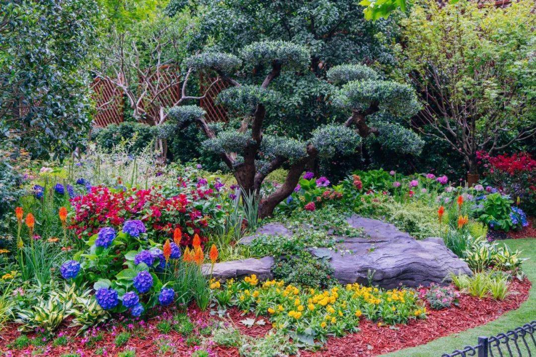 探索申城这些花坛花境等你来欣赏一大波美图来袭