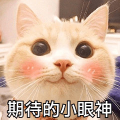 歌手2020决赛排名_云南大学2020年度十佳歌手大赛决赛|音乐旅程终点站即