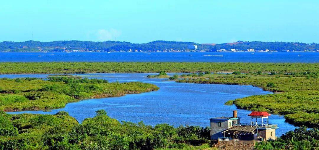 廣西北海濱海國家溼地公園,廣西北侖河口紅樹林自然保護區,廣西山口