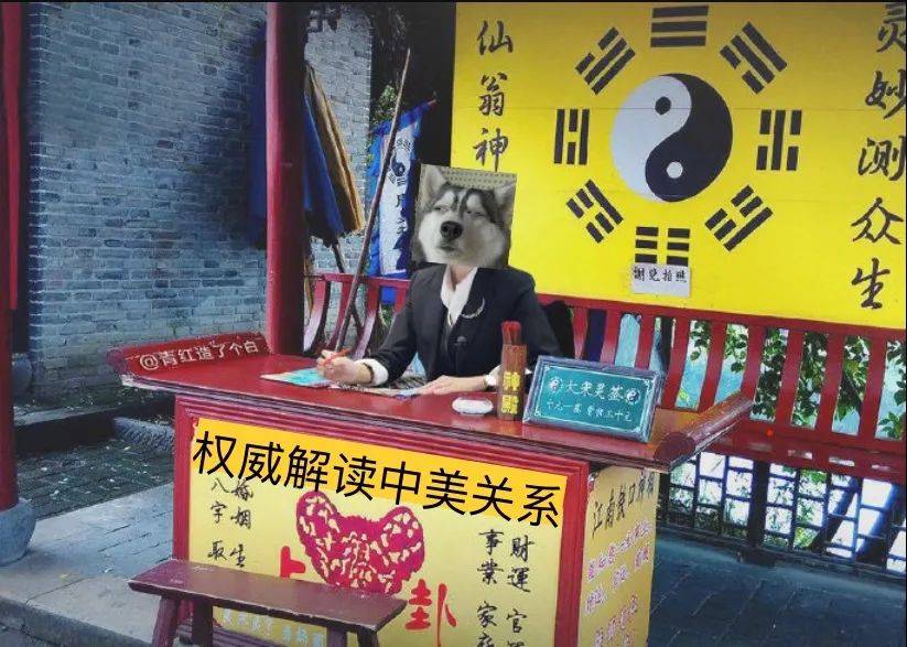 如果摆摊儿的话你的专业能做点啥