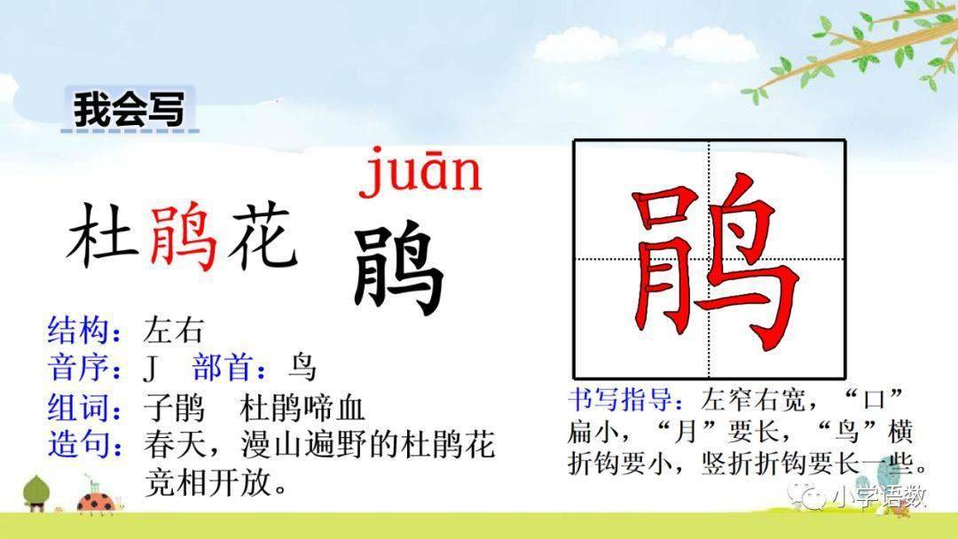 部编版四年级语文下册第17课《记金华的双龙洞》知识点+图文详解