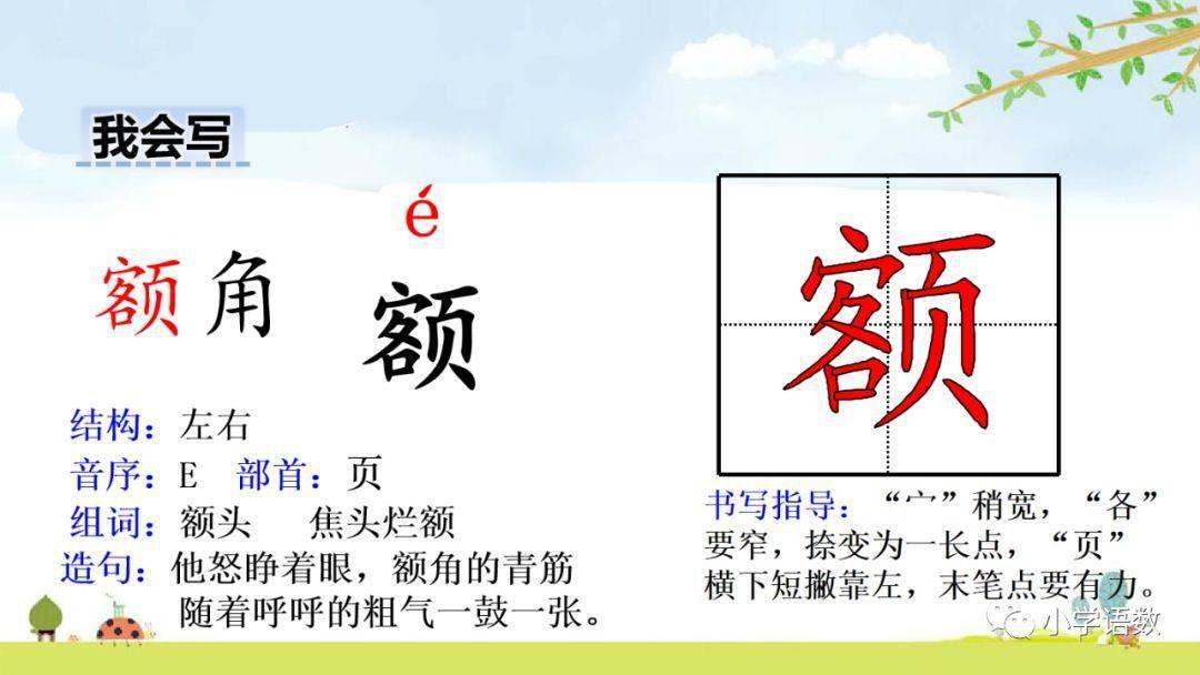 部编版四年级语文下册第17课《记金华的双龙洞》知识点+图文详解