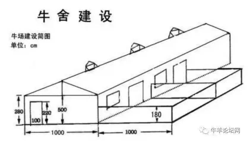 100头养牛场建设图纸图片