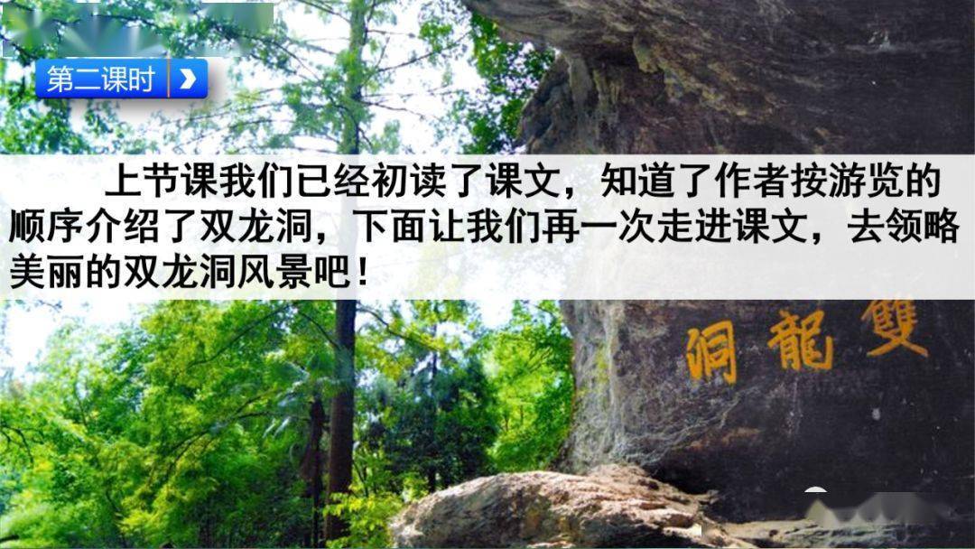 部编版四年级语文下册第17课《记金华的双龙洞》知识点+图文详解