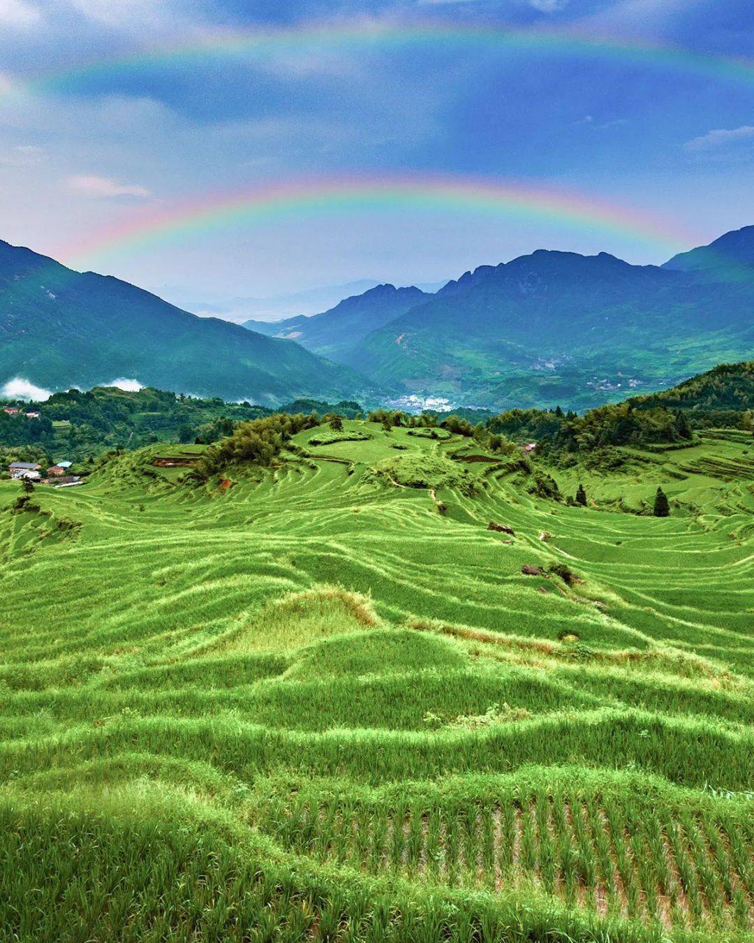 绿水青山的变现之路