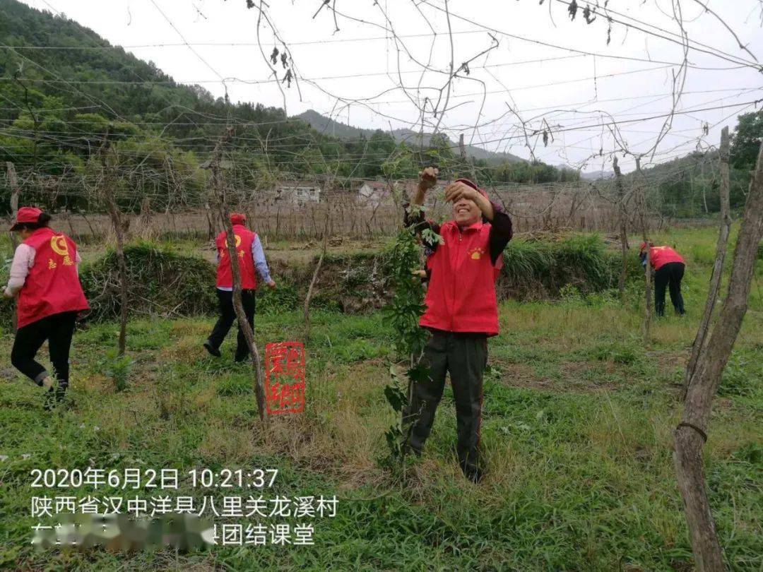 龙溪村来了一群红马夹乡亲们都说多亏了他们啊