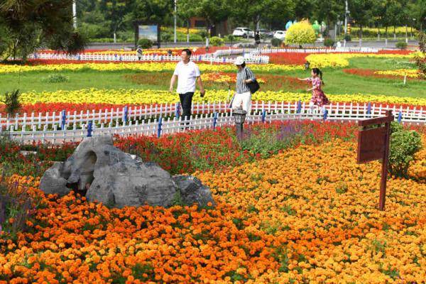 石家庄鹿泉 十里花廊 美如画 游人