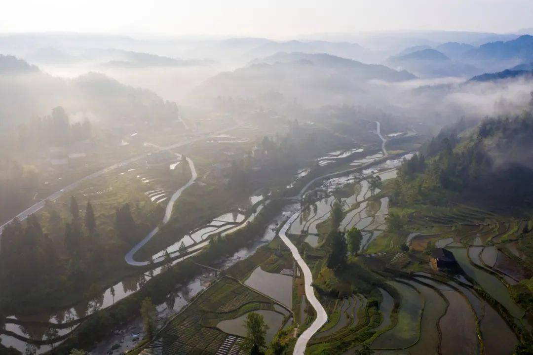踏着草木清香,走进渝东南石柱土家族自治县悦崃镇,一塝塝梯田,错落有