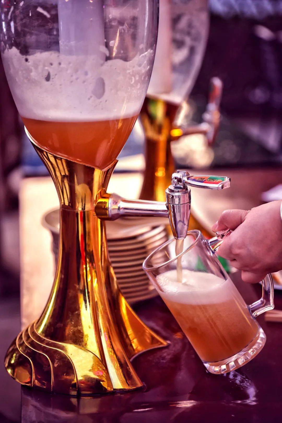 阳光探店在星级酒店吃夜市喝自酿啤酒太可了