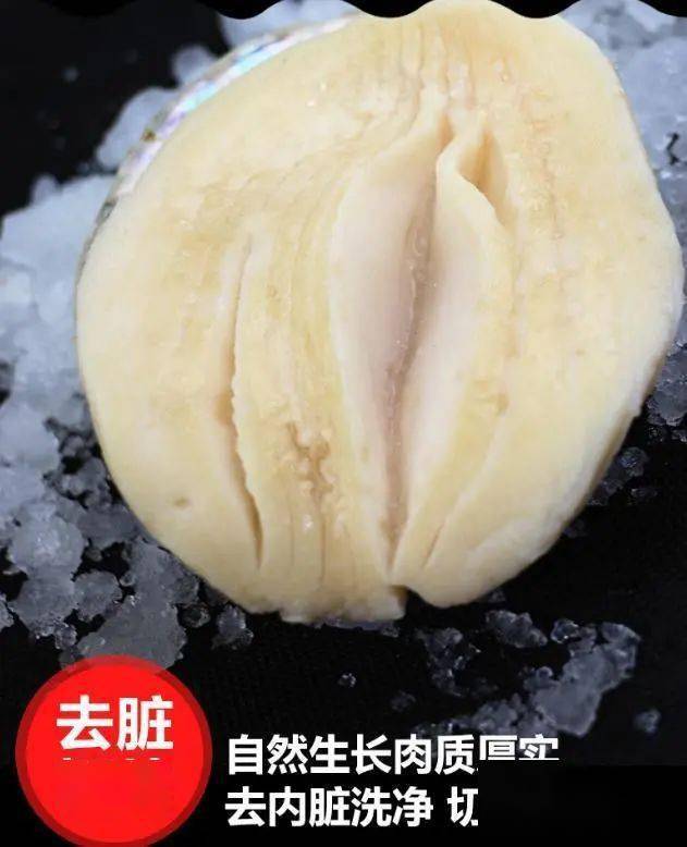 黄金鲍来自澳洲纯净深海海域,个头大,肉厚实,q弹鲜嫩.