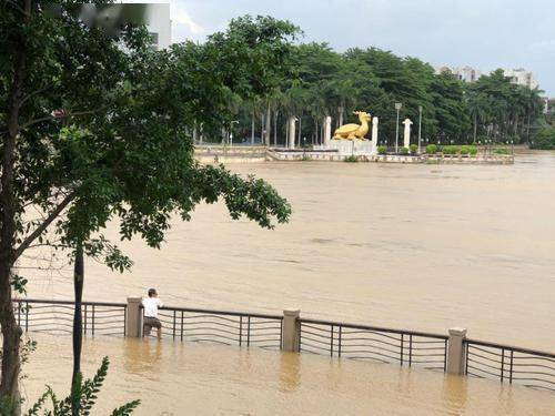 紧急!东江东莞河段江水漫堤,洪峰预计今晚10时抵莞