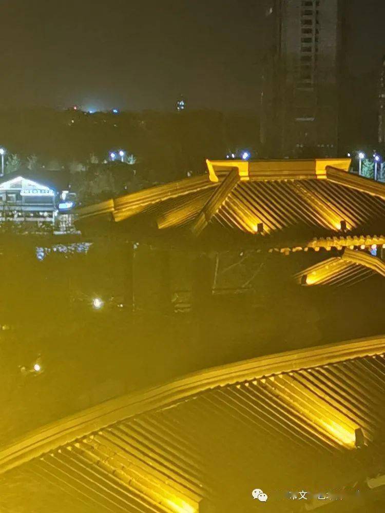 光影邳州|栗洪民:夏日的桃花岛