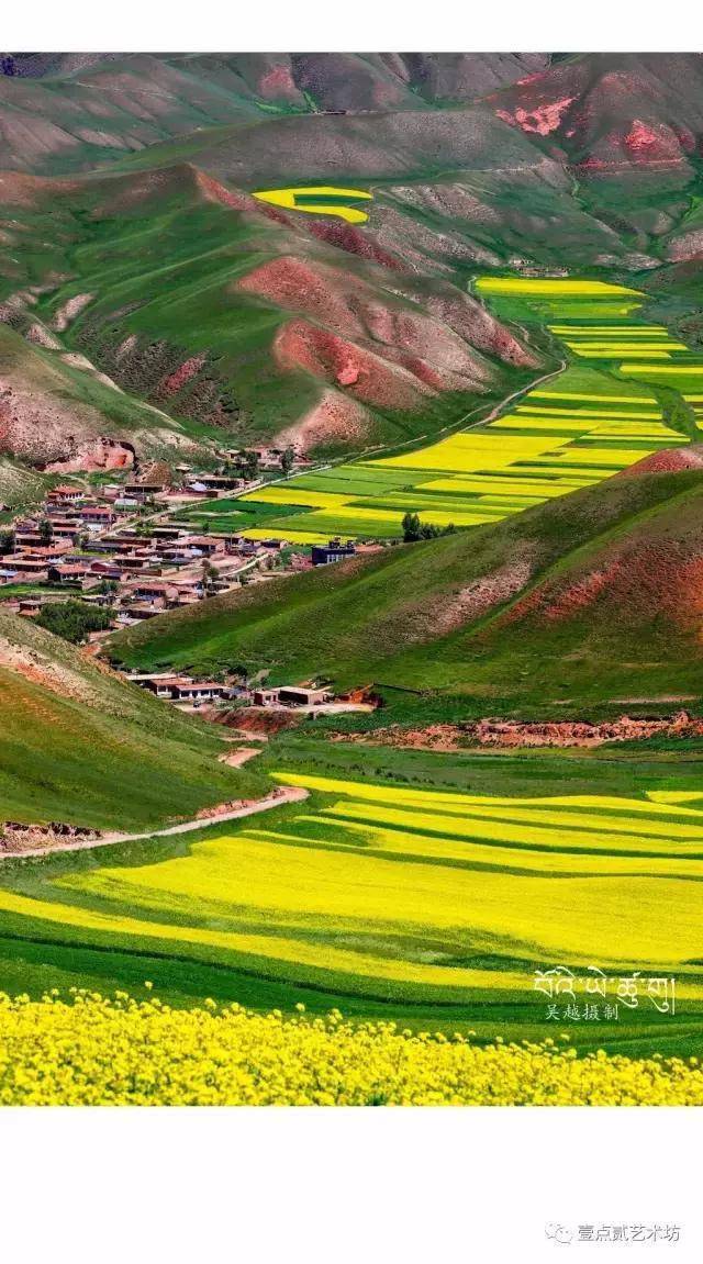 青海建成青藏高原首张绿色算力网