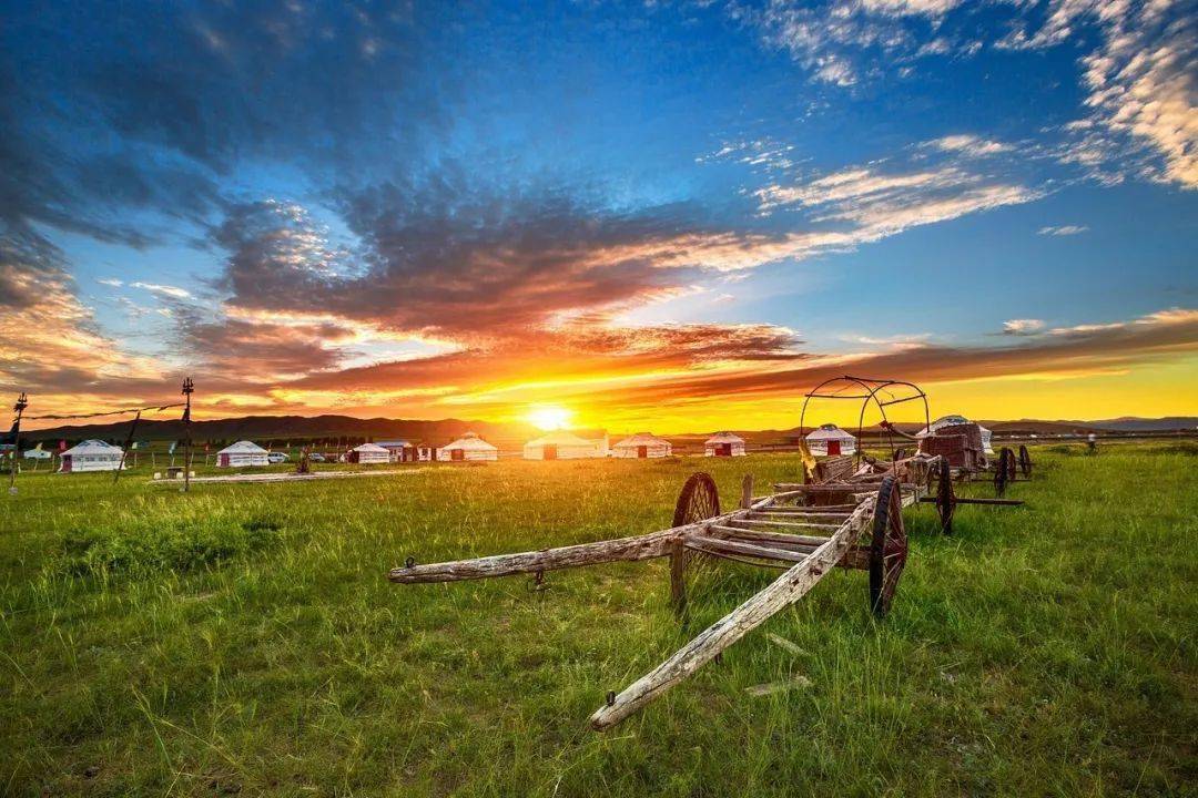 一到夏天,内蒙古就"绿"了全世界!_草原